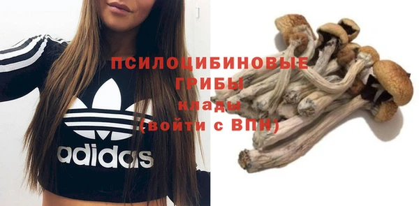 дживик Болхов