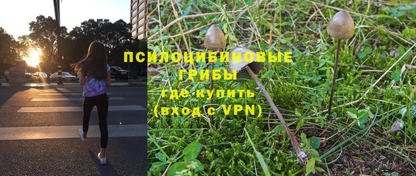 apvp Покров
